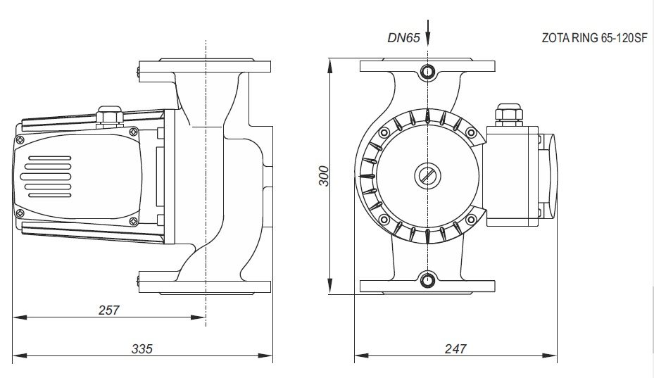 Фото Насос для отопления Zota Ring 65-120 SF, чугун, флянец, 400 В, 3 скорости 1