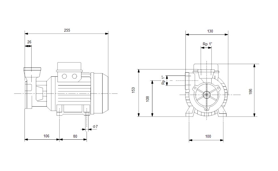 Фото Насос Grundfos PF 2-50 1x230V 50Hz Schuko IT 1