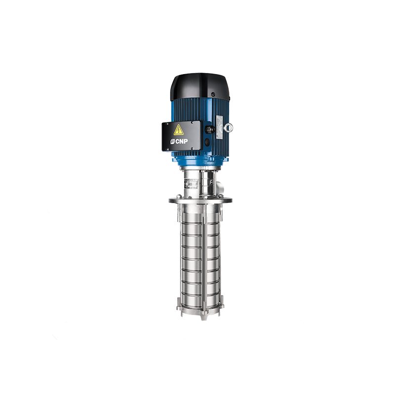 Насос CNP CDLK1-250/25SWPC Вертикальный