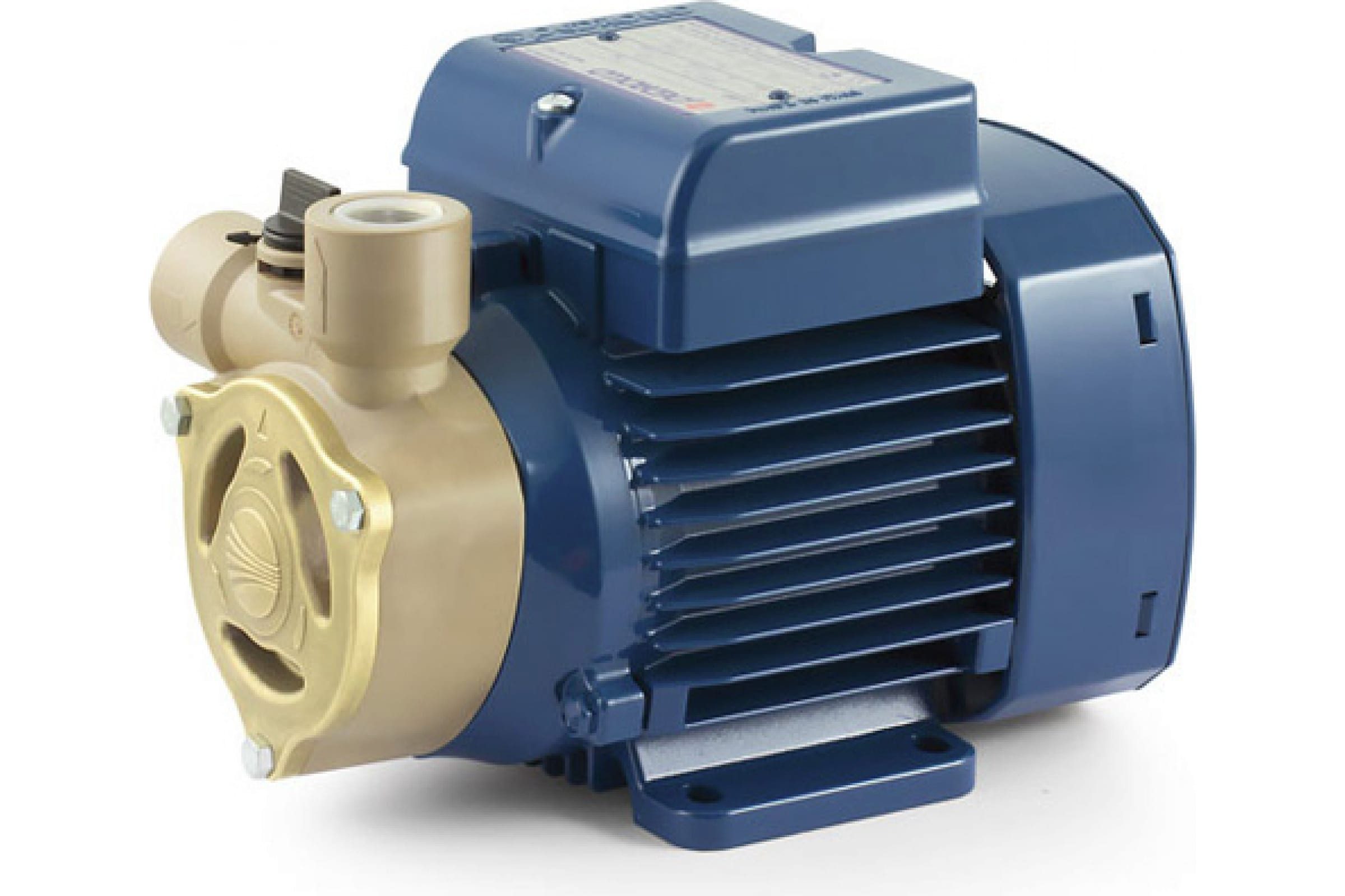 Насос PQAm 60 220В/60Гц Pedrollo 41PNQA6PP1