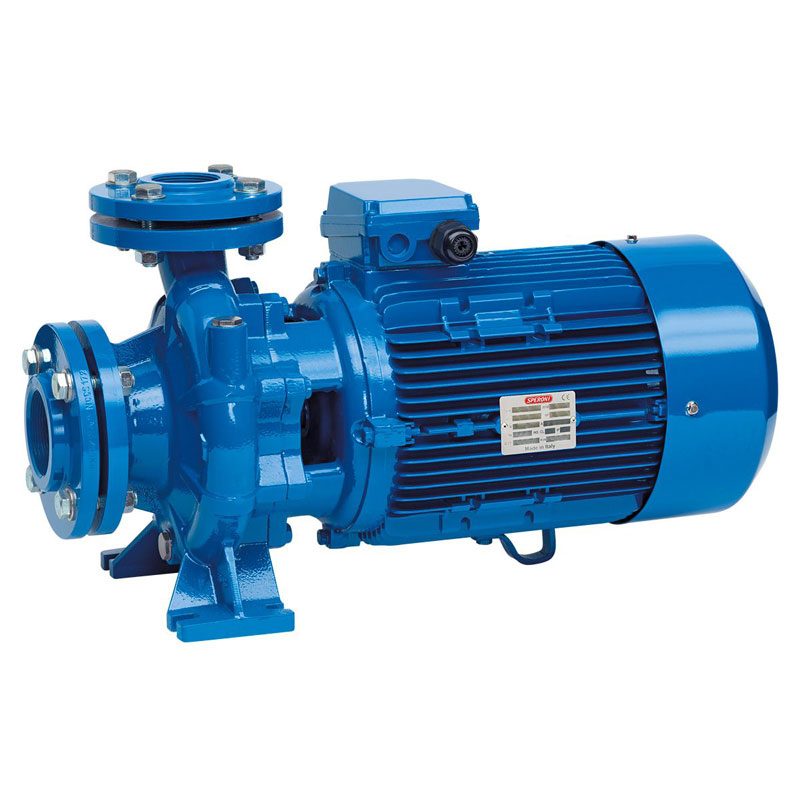 Насос CS 65-250 A Speroni 101803470