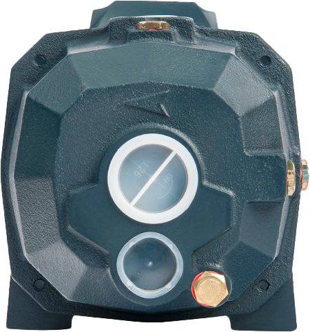 Фото Поверхностный насос Unipump DP 750 1