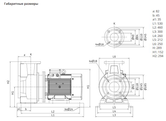 Фото Насос Native BPG 40/125-3/2-ST 2