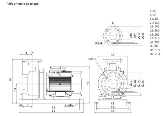 Фото Насос Native BPG 40/125-3/2-ST-H12 1