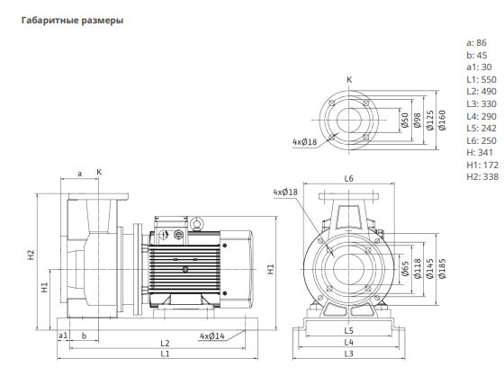 Фото Насос Native BPG 50/125-4/2-ST-H12 1
