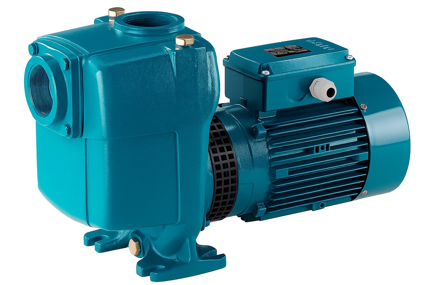 Насос A 40-110A/B Calpeda 60F00382000