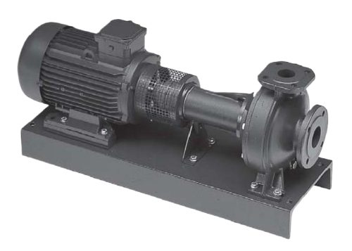 Насос FN 80-100-300 SS Espa 9200000166