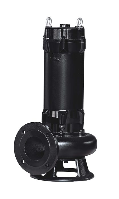 Насос EFP 30DP Etna 818 300 000