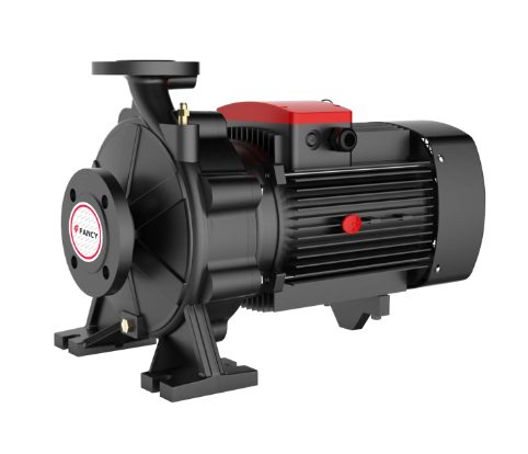 Насос FST 65-125/55 FANCY 156FST33037