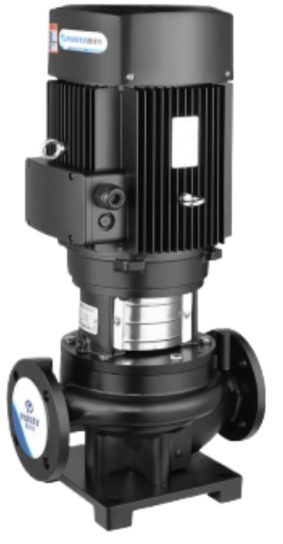 Насос Purity PTD80-54G/2 Сухой