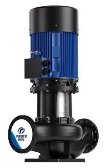 Насос Purity PTD250-12.5/4 Сухой