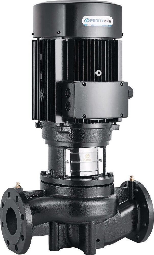 Насос Purity PTD200-12.5/4 Сухой
