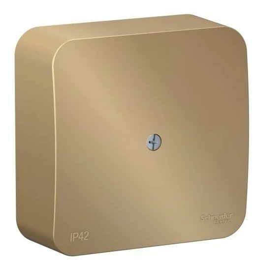 Коробка Systeme Electric BLNRK000014