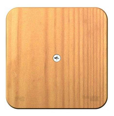 Коробка Systeme Electric BLNRK000015